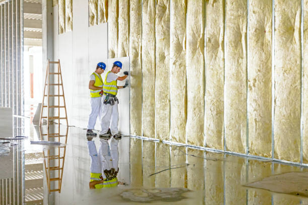 Best Residential Insulation in Cut Bank, MT